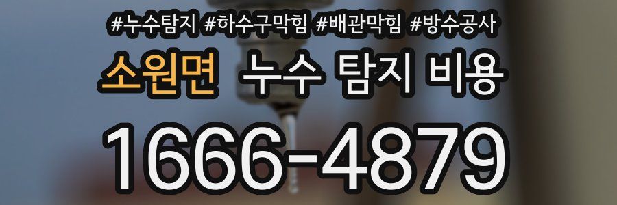 소원면 누수 탐지 비용