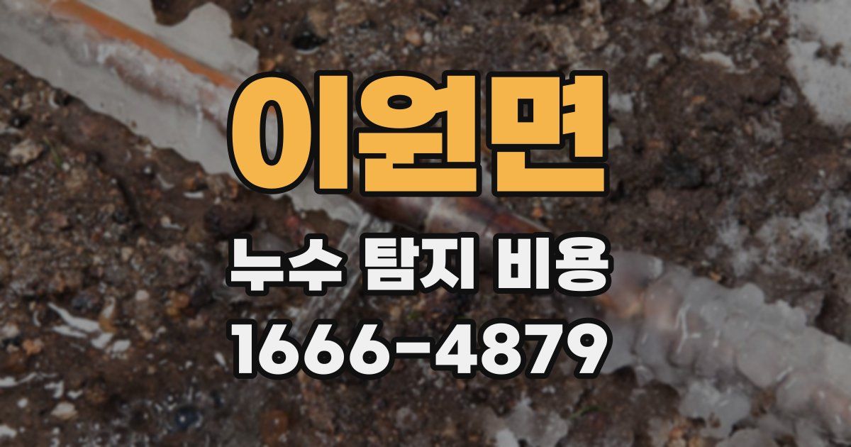 이원면 누수 탐지 비용