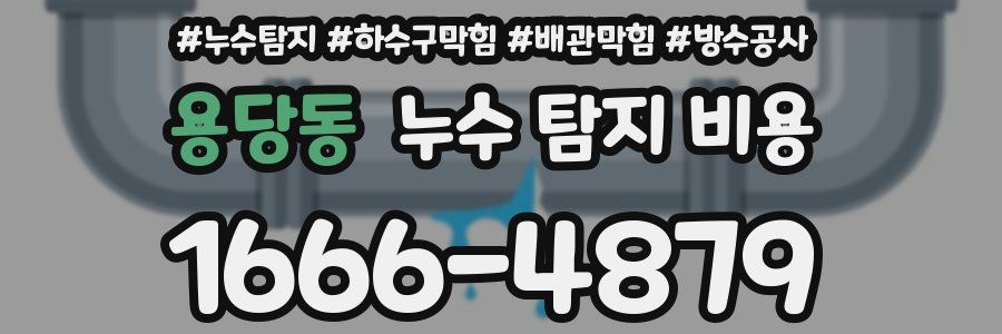 용당동 누수 탐지 비용