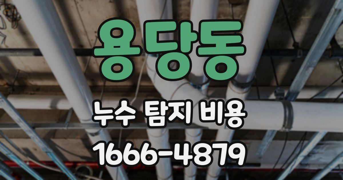 용당동 누수 탐지 비용
