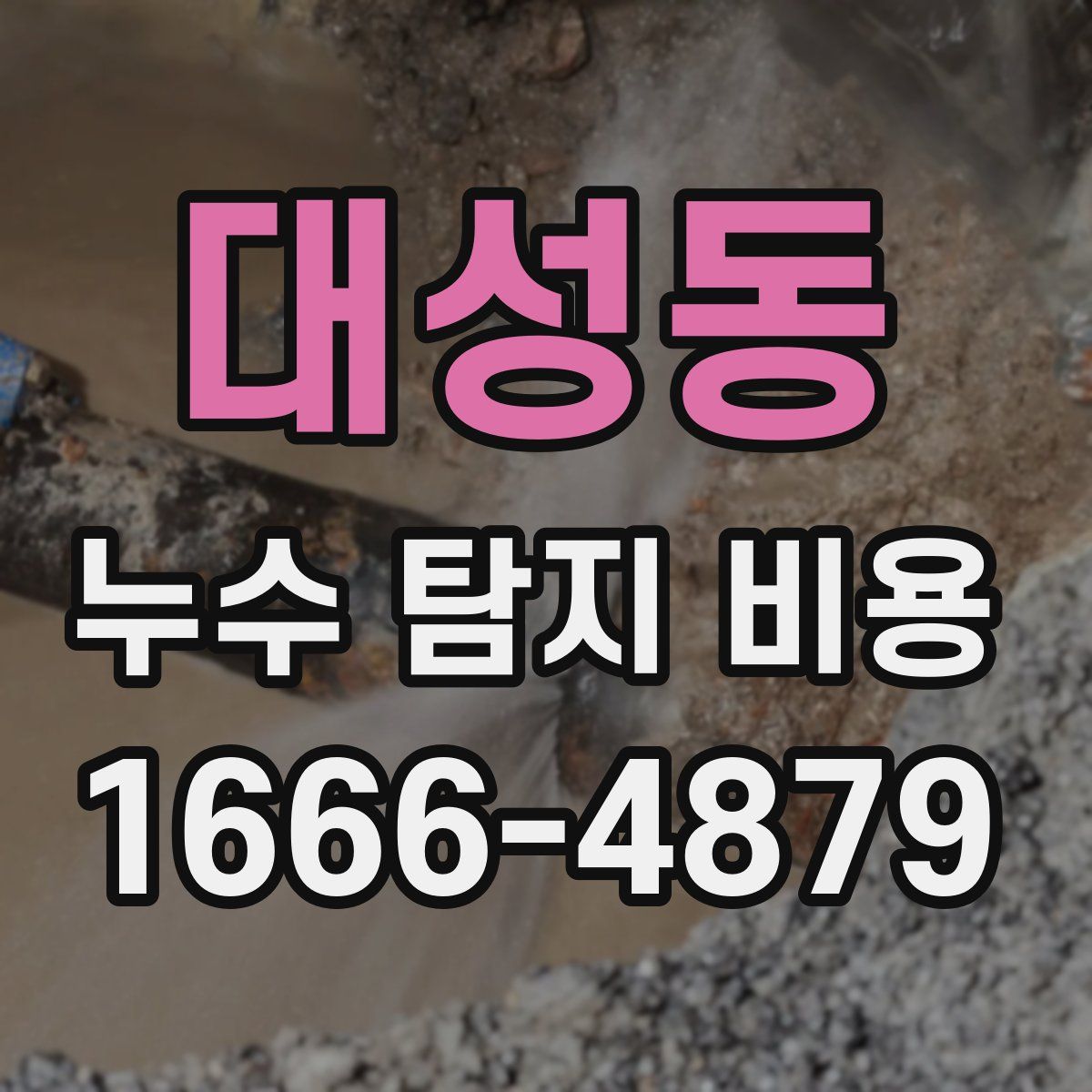 대성동 누수 탐지 비용