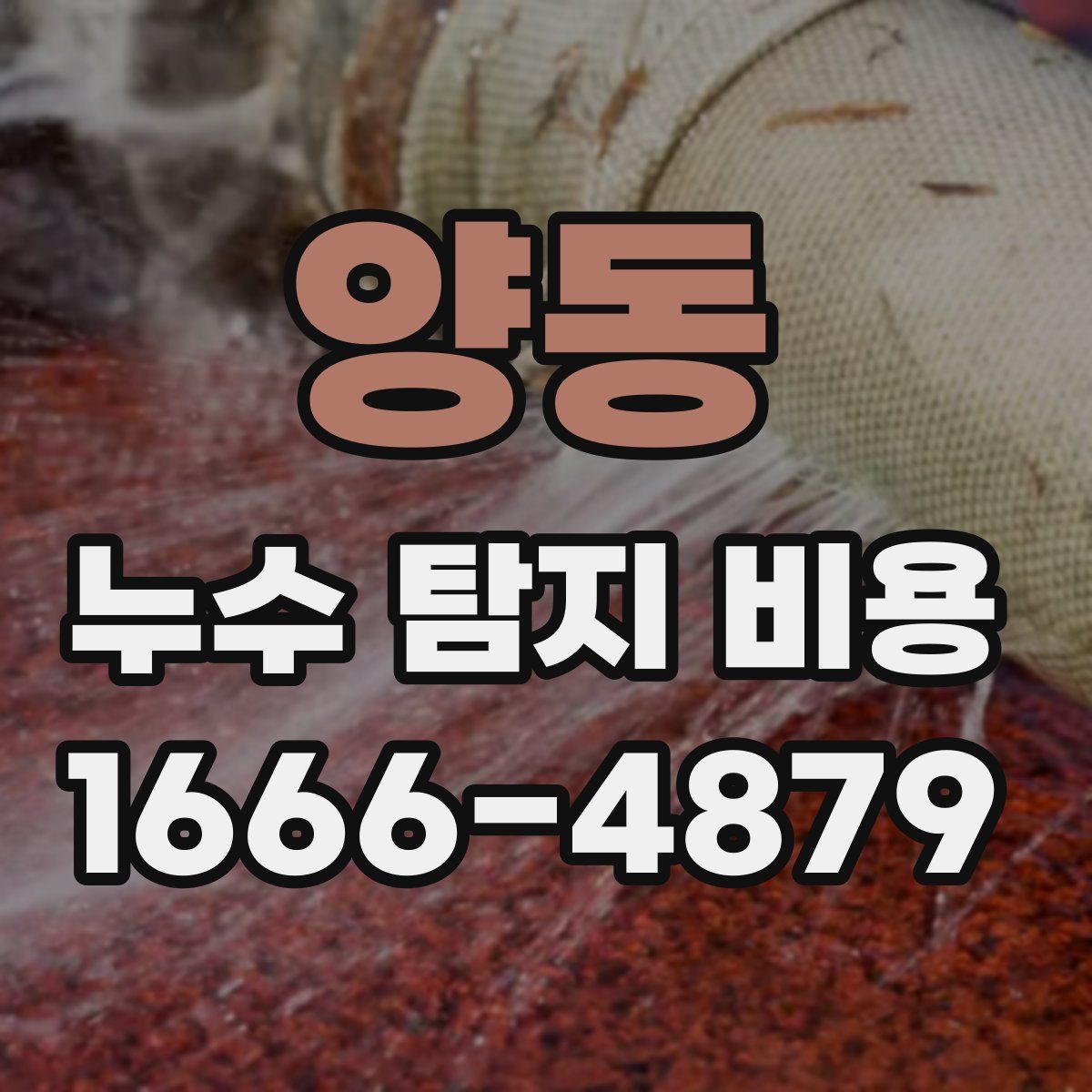 양동 누수 탐지 비용