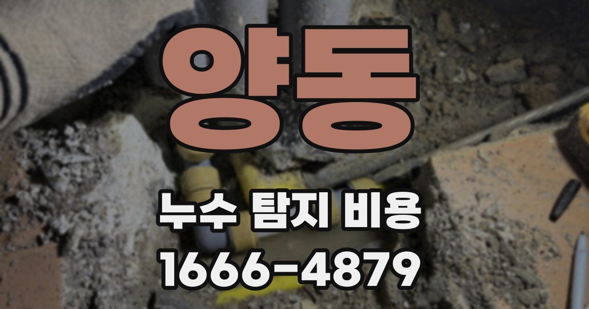 양동 누수 탐지 비용