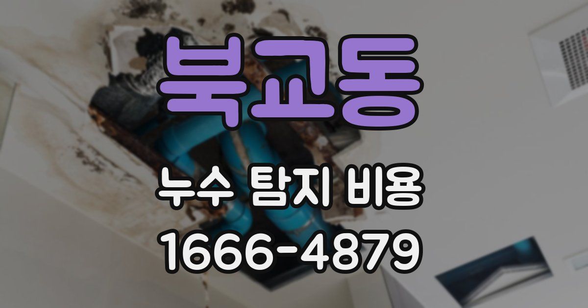 북교동 누수 탐지 비용