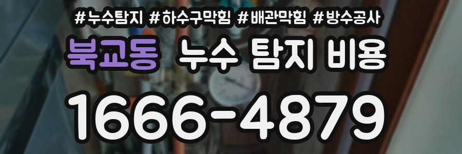 북교동 누수 탐지 비용