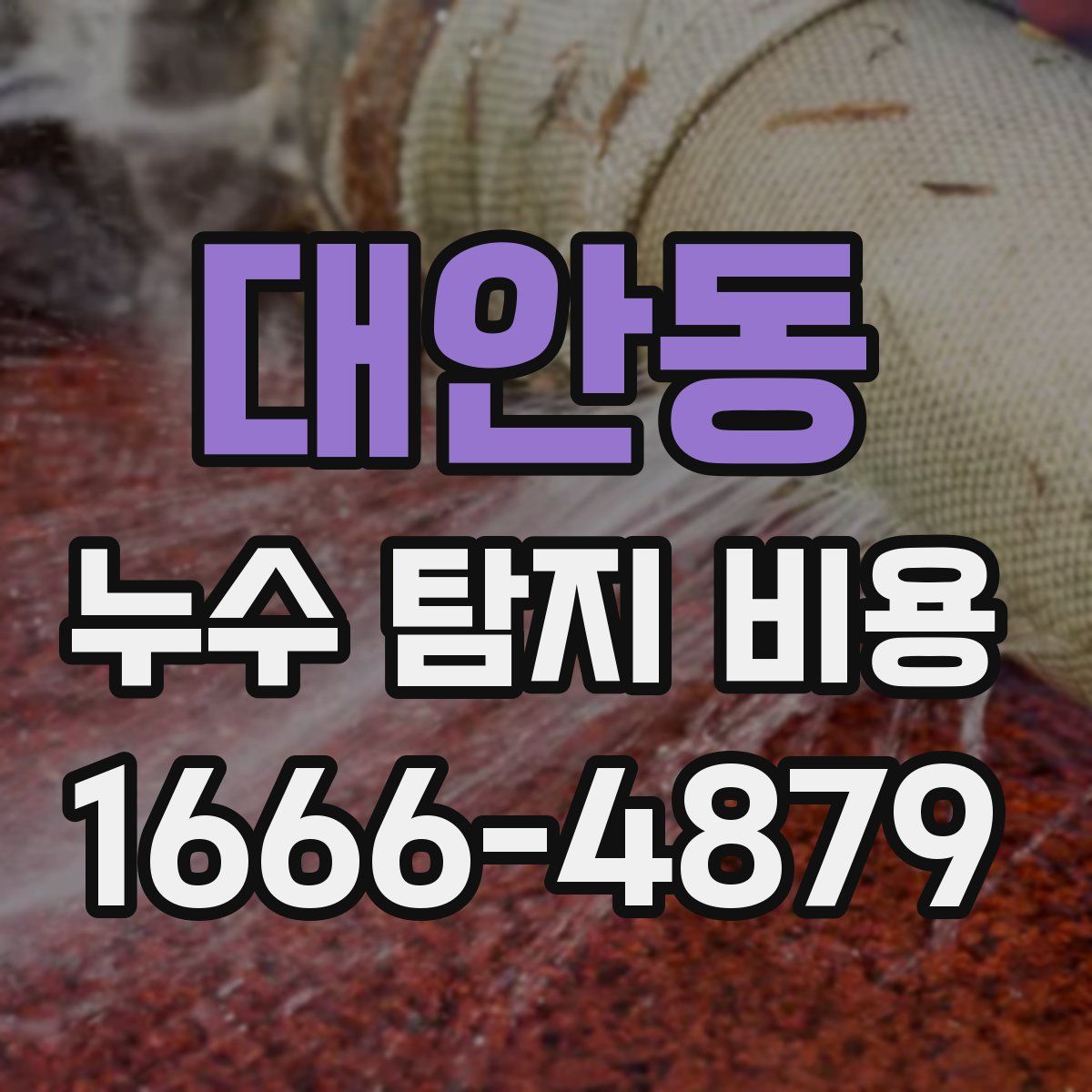 대안동 누수 탐지 비용