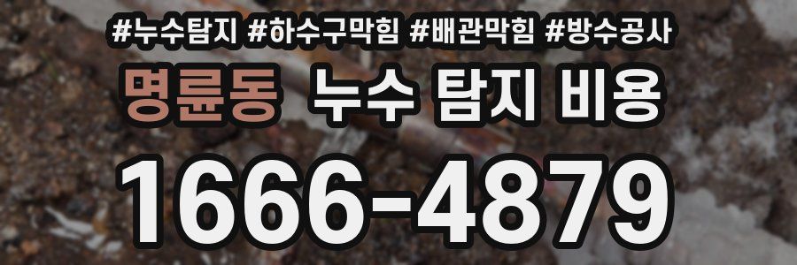 명륜동 누수 탐지 비용