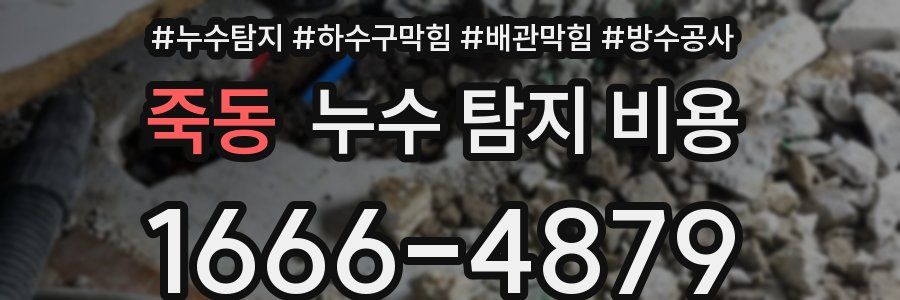 죽동 누수 탐지 비용