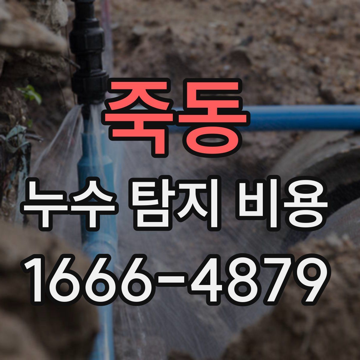 죽동 누수 탐지 비용