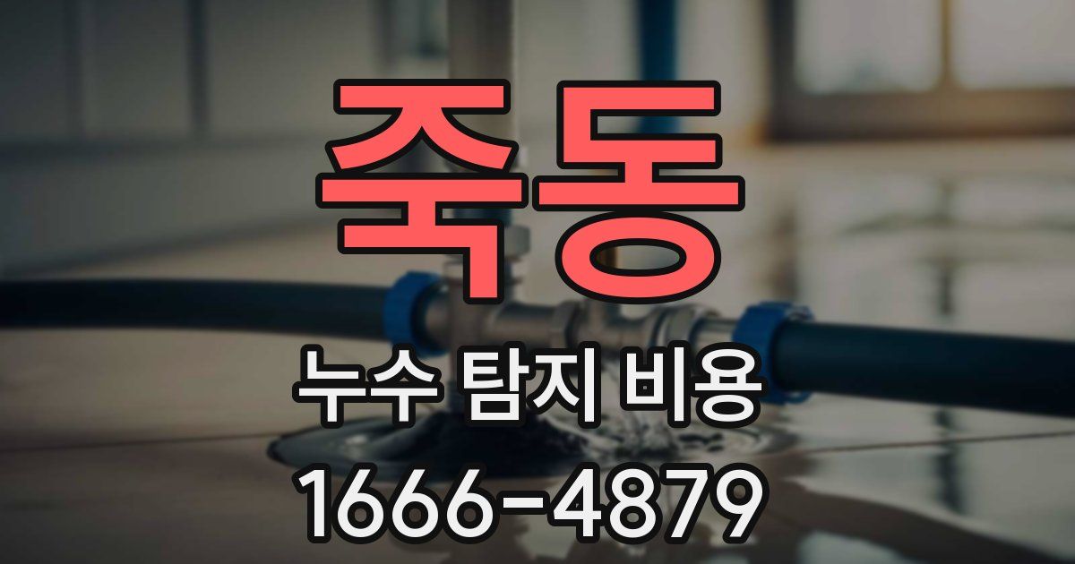 죽동 누수 탐지 비용