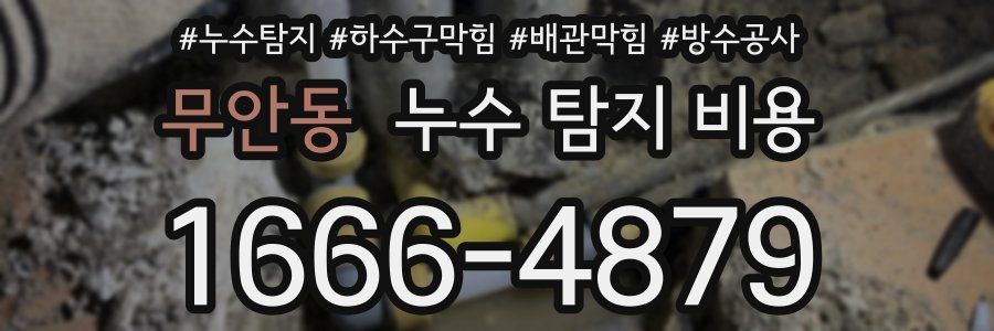 무안동 누수 탐지 비용