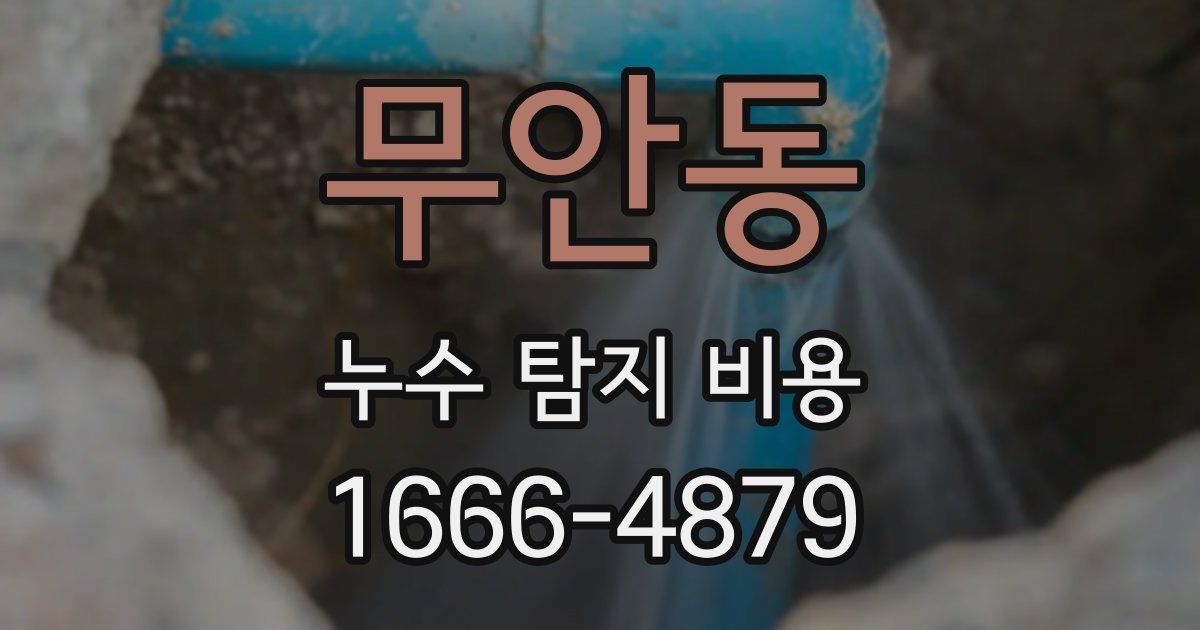 무안동 누수 탐지 비용
