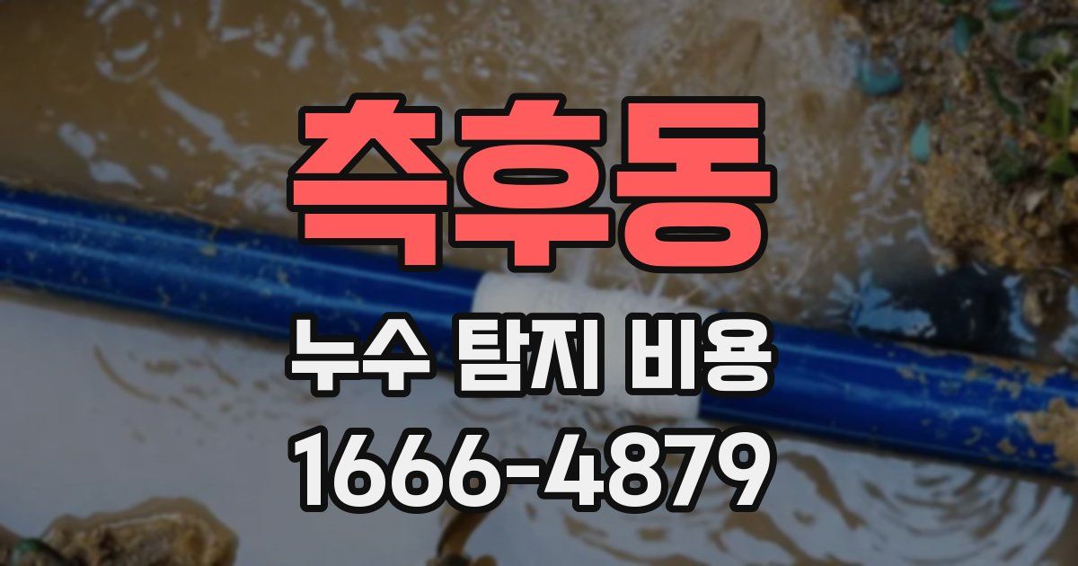 측후동 누수 탐지 비용
