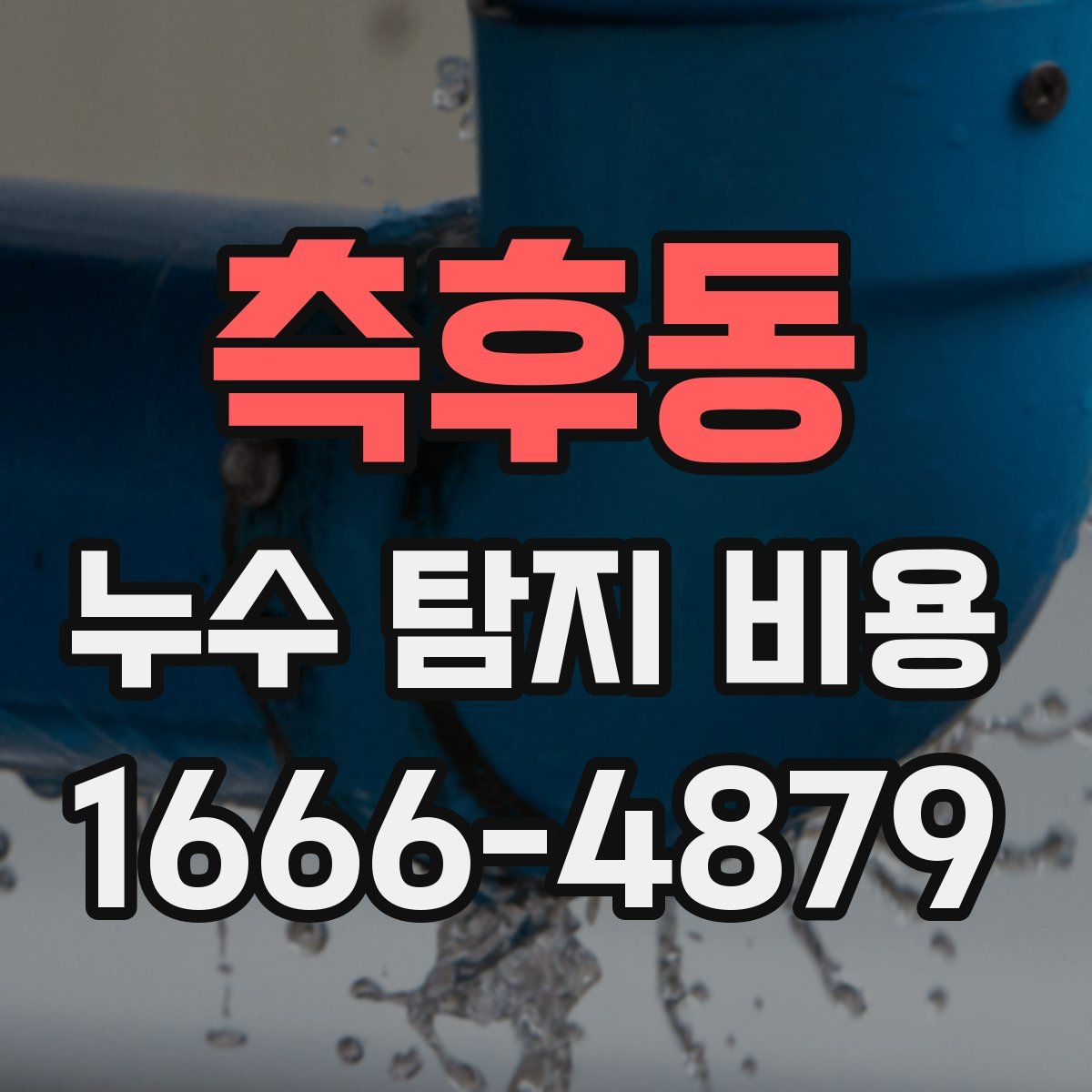 측후동 누수 탐지 비용