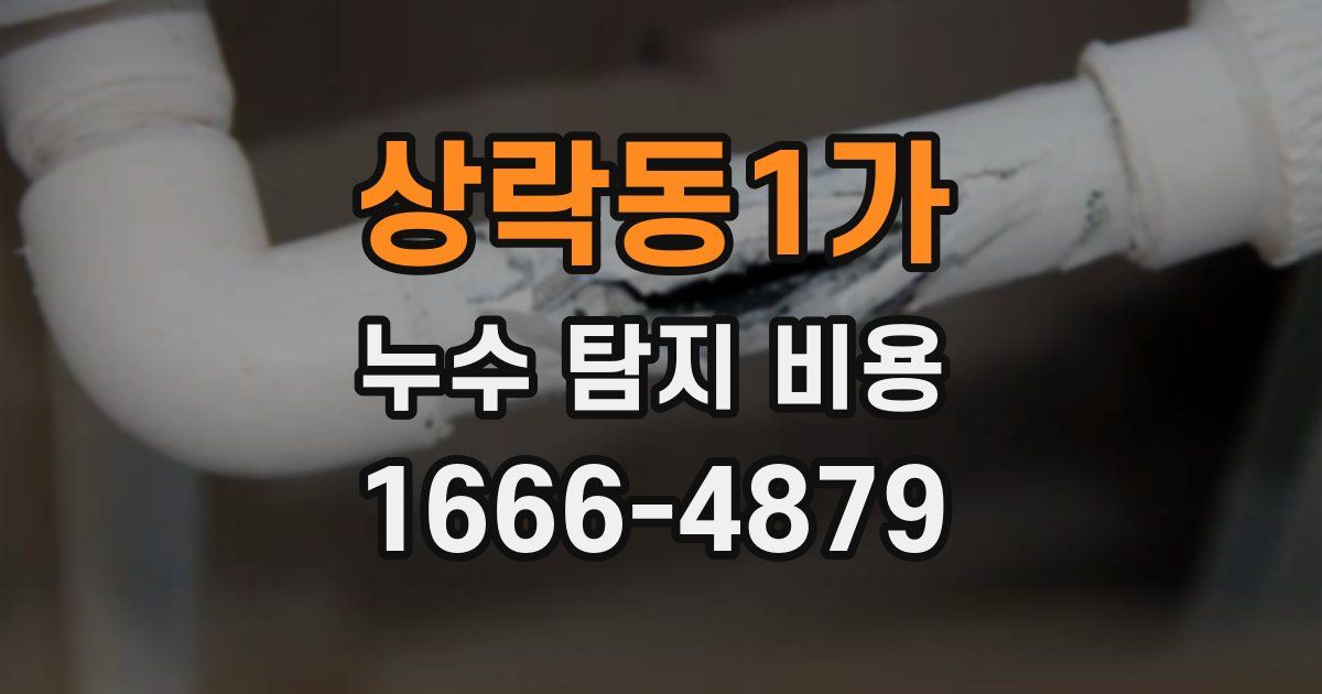 상락동1가 누수 탐지 비용