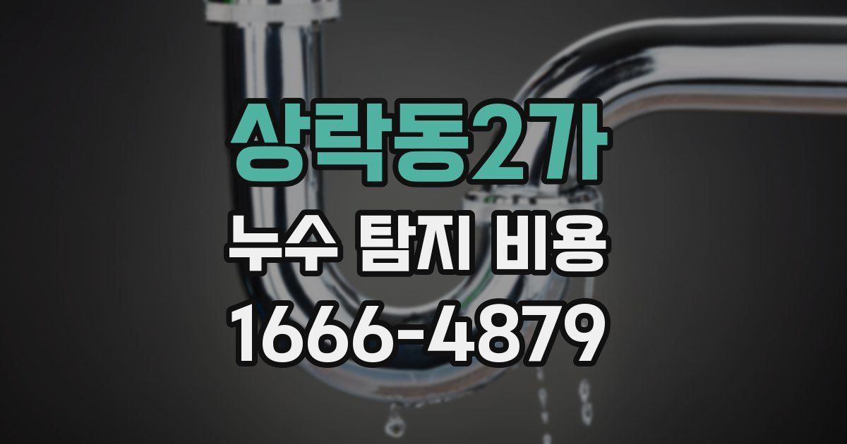 상락동2가 누수 탐지 비용
