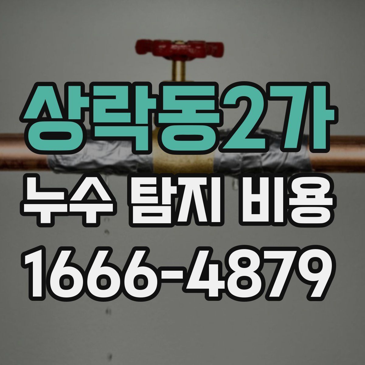상락동2가 누수 탐지 비용