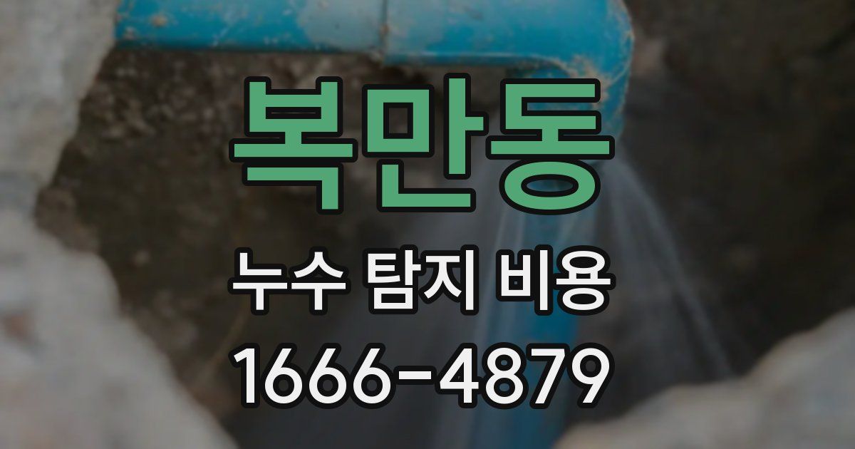 복만동 누수 탐지 비용