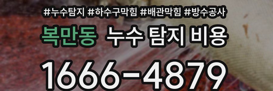 복만동 누수 탐지 비용