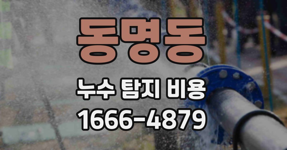 동명동 누수 탐지 비용