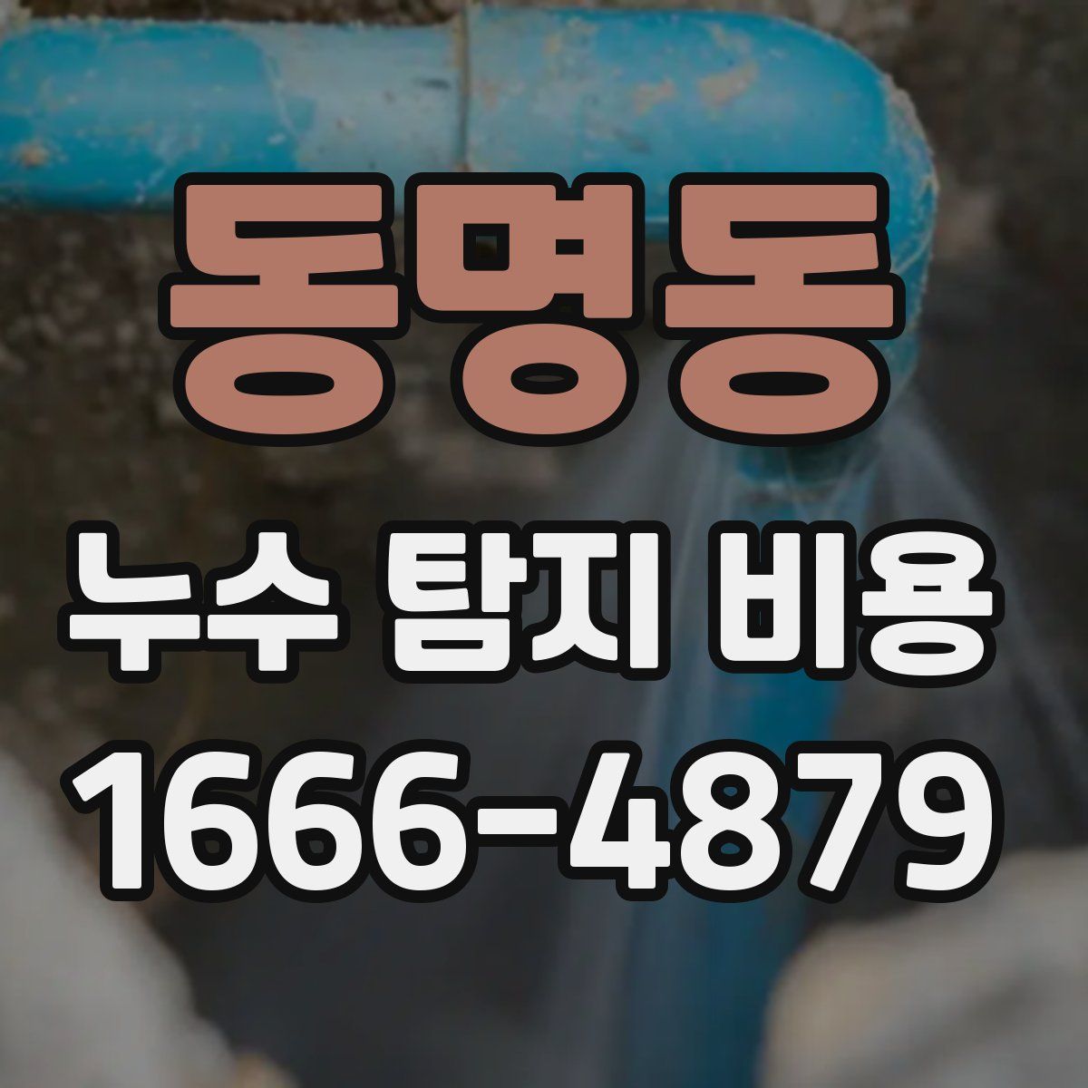 동명동 누수 탐지 비용