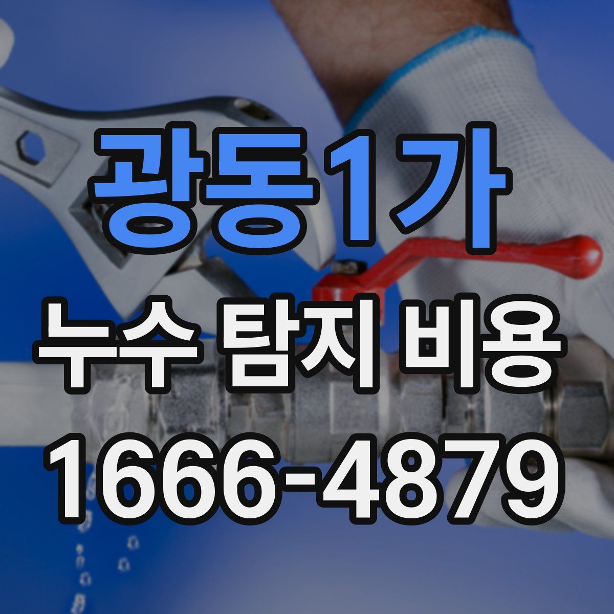 광동1가 누수 탐지 비용