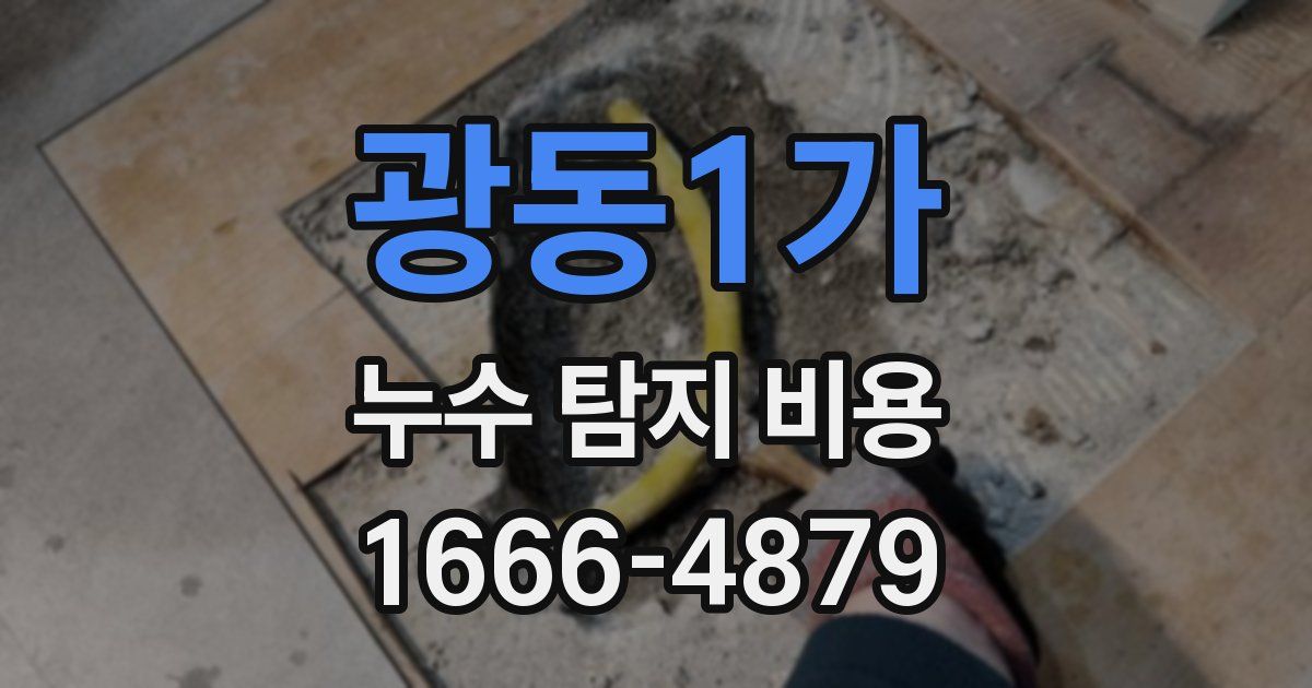 광동1가 누수 탐지 비용