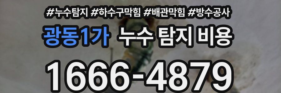 광동1가 누수 탐지 비용