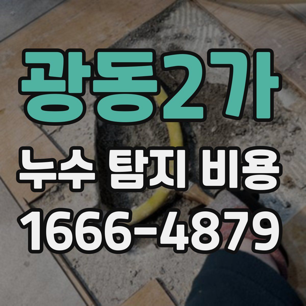 광동2가 누수 탐지 비용