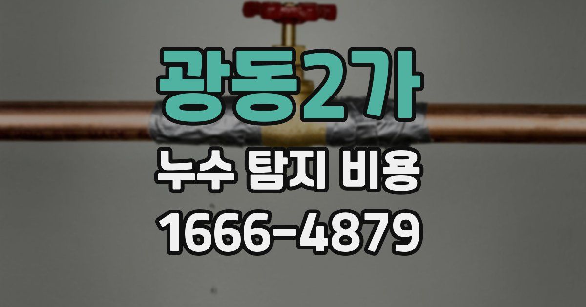 광동2가 누수 탐지 비용