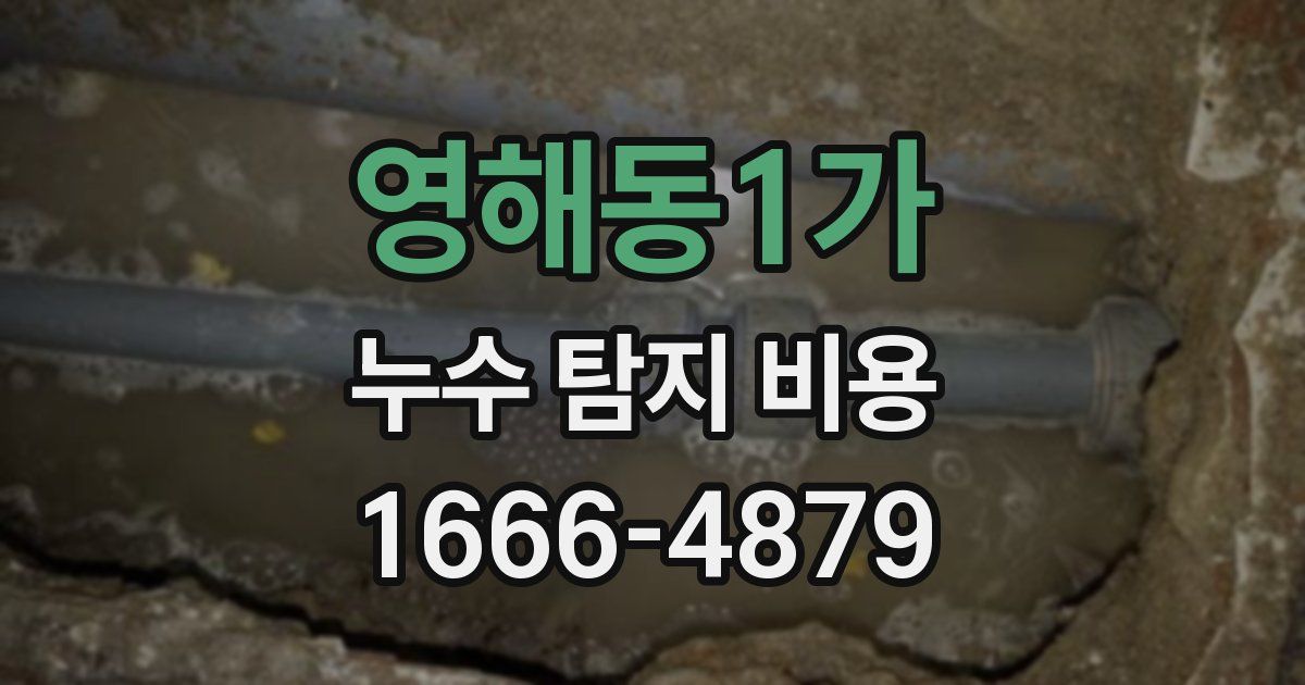 영해동1가 누수 탐지 비용