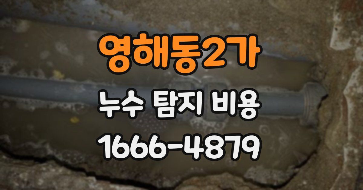 영해동2가 누수 탐지 비용