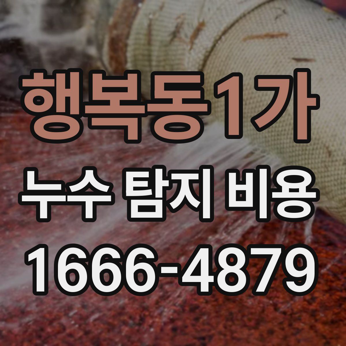 행복동1가 누수 탐지 비용