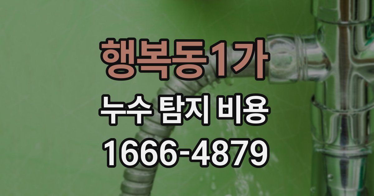 행복동1가 누수 탐지 비용