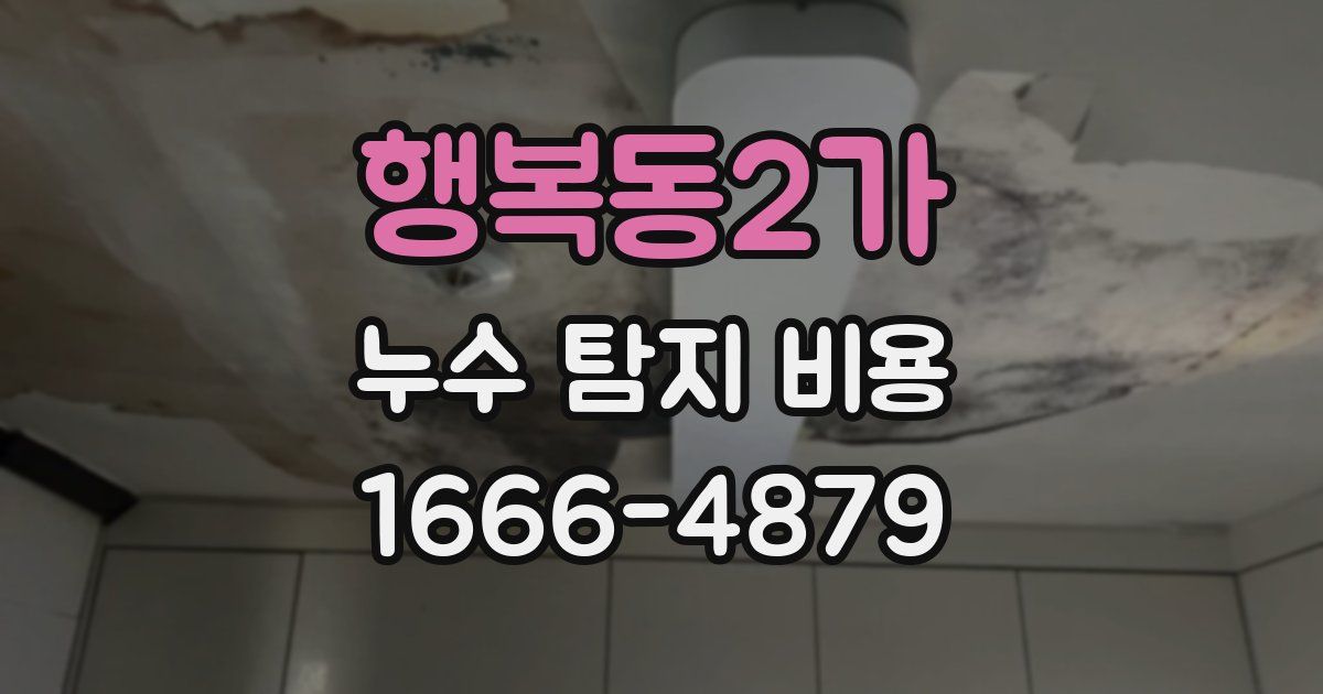 행복동2가 누수 탐지 비용