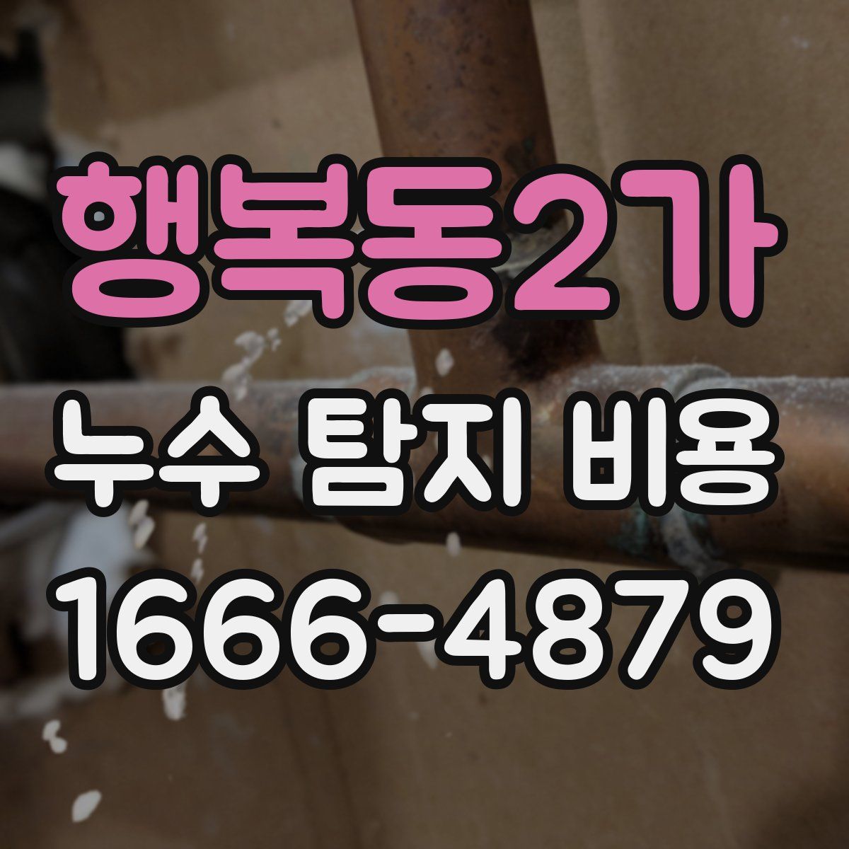 행복동2가 누수 탐지 비용
