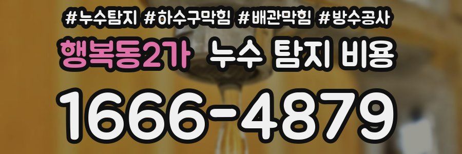 행복동2가 누수 탐지 비용