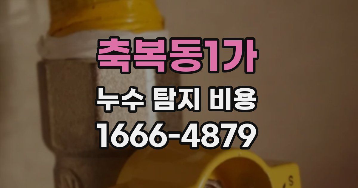 축복동1가 누수 탐지 비용