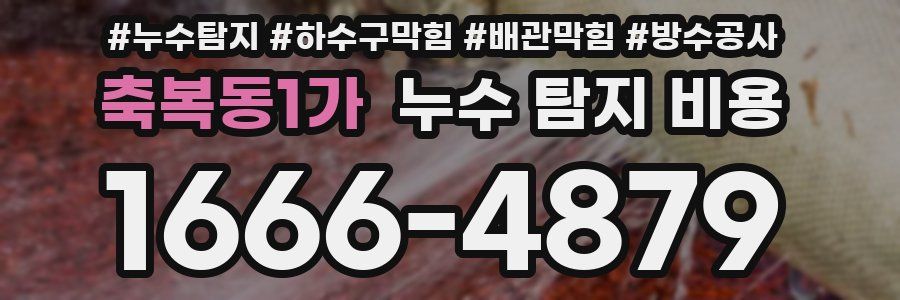 축복동1가 누수 탐지 비용