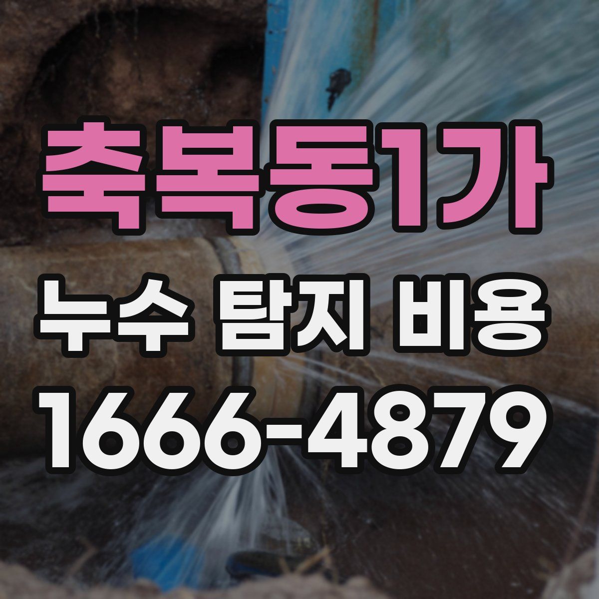 축복동1가 누수 탐지 비용