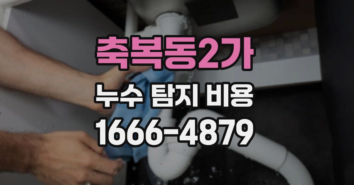 축복동2가 누수 탐지 비용