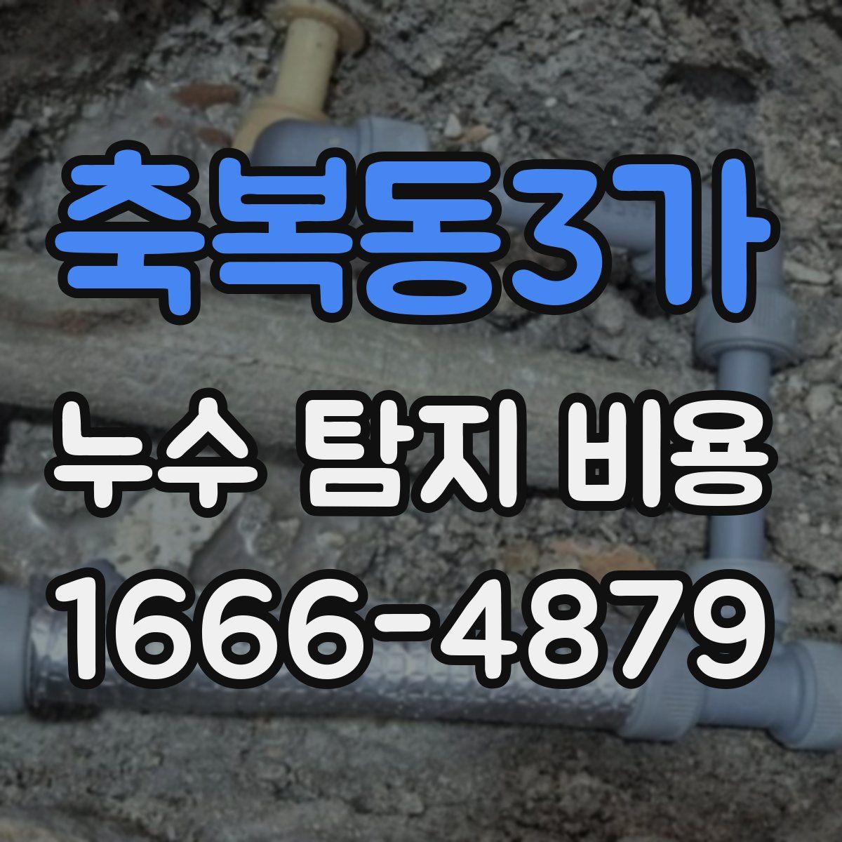 축복동3가 누수 탐지 비용