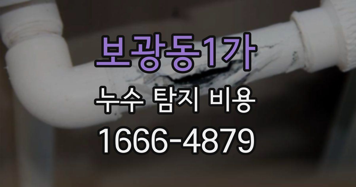 보광동1가 누수 탐지 비용