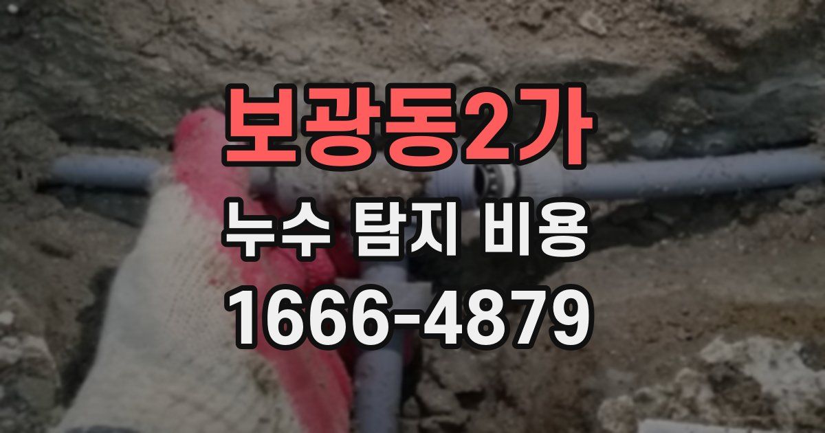 보광동2가 누수 탐지 비용