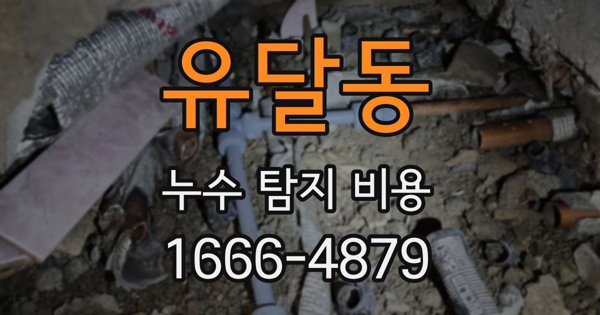 유달동 누수 탐지 비용