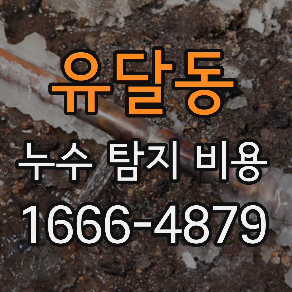유달동 누수 탐지 비용