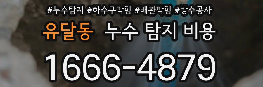 유달동 누수 탐지 비용