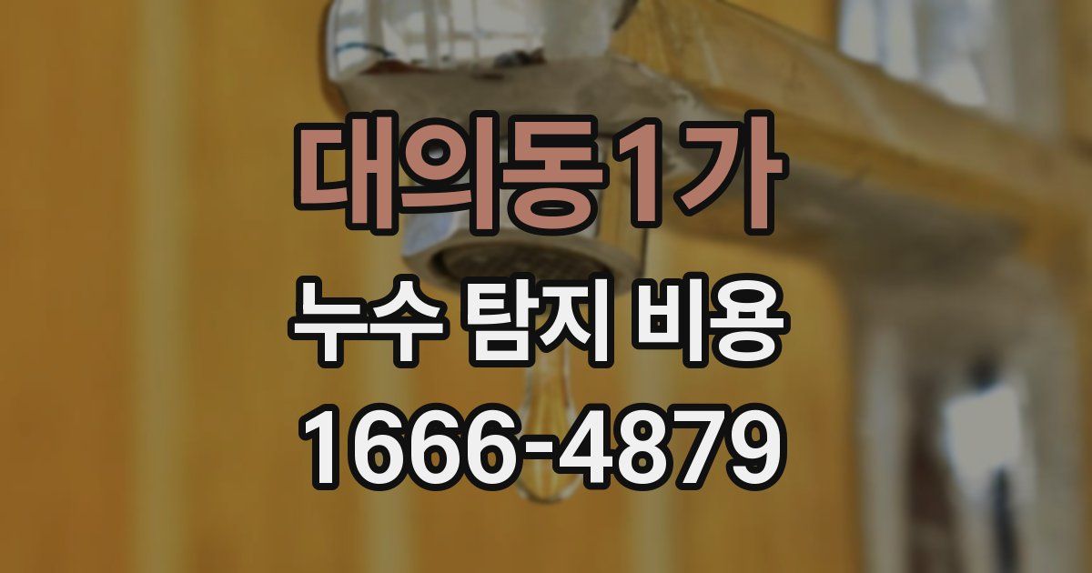 대의동1가 누수 탐지 비용
