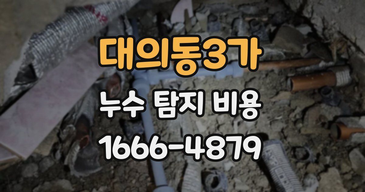 대의동3가 누수 탐지 비용
