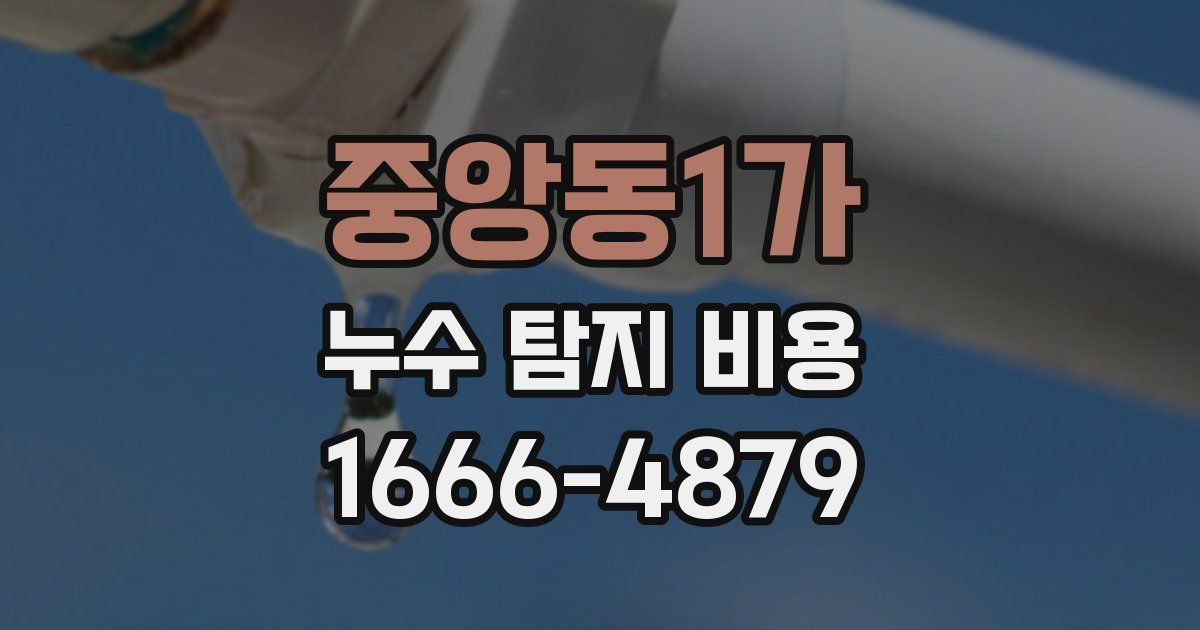 중앙동1가 누수 탐지 비용